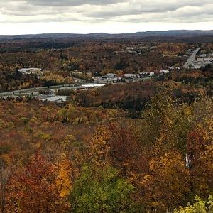 Meet your Posher, Rose